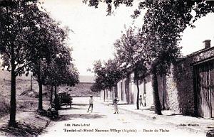 TENIET-EL-HAAD - ROUTE DE VIALAR